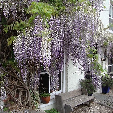 Half Moon House Daire Hay-On-Wye Dış mekan fotoğraf