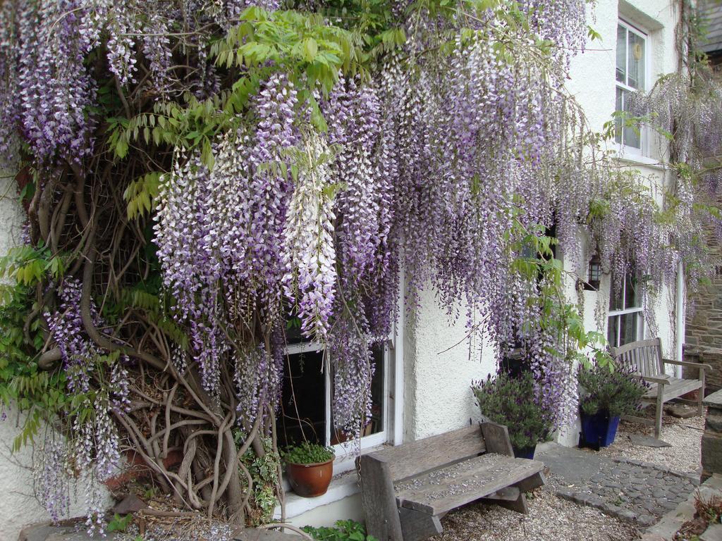 Half Moon House Daire Hay-On-Wye Dış mekan fotoğraf